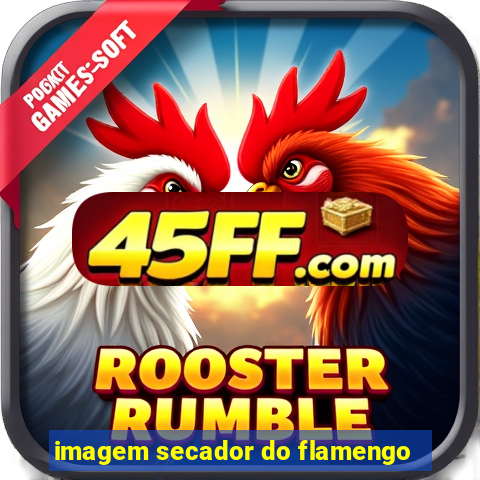 imagem secador do flamengo